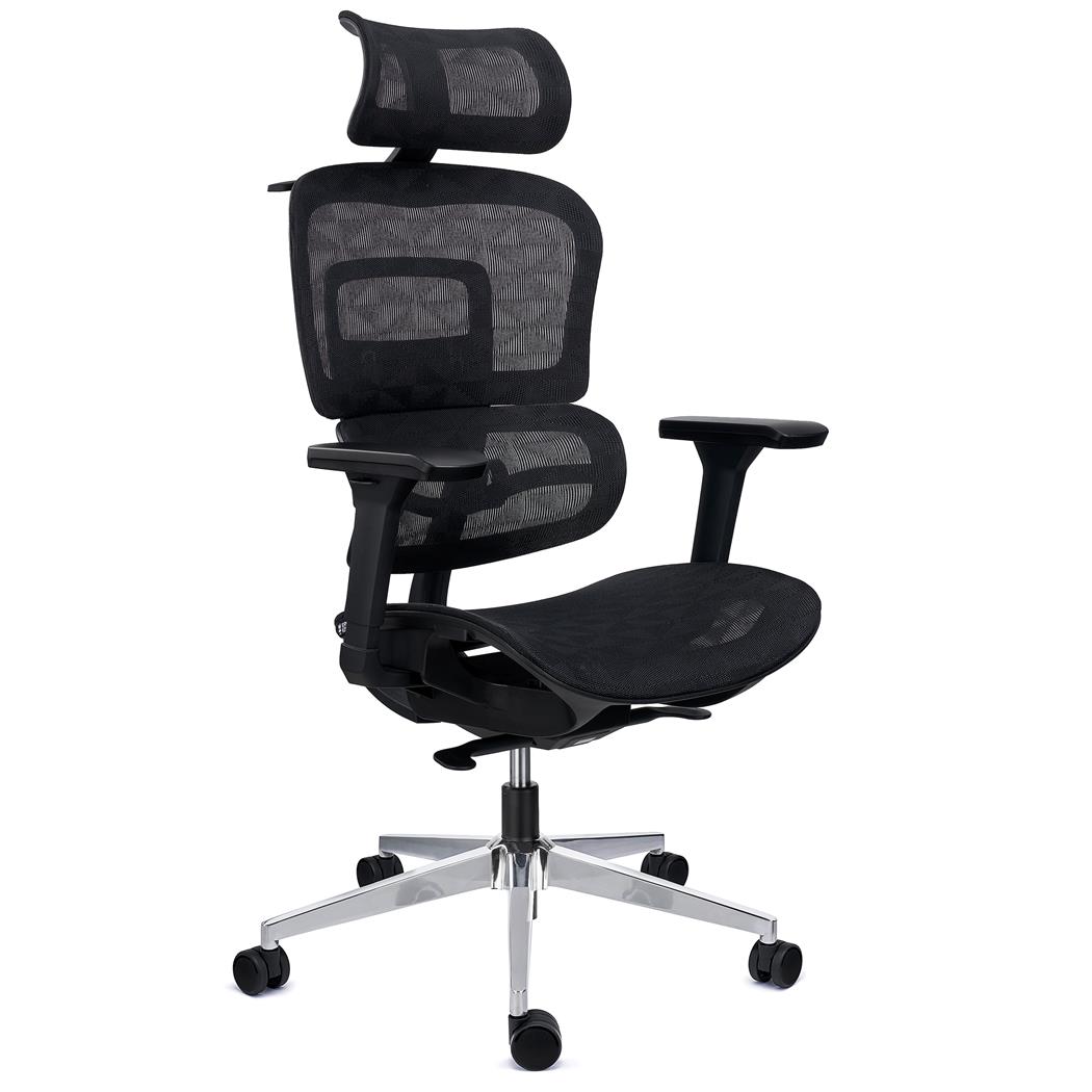 Ergonomisk Stol ERGOMAX, Højdejusterbar Ryglæn, Komfortabel Og Tilpasselig, Sort Net