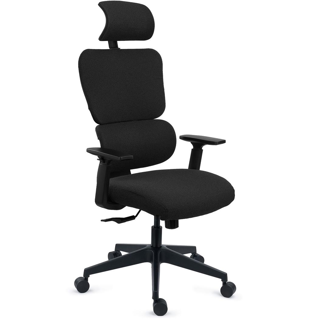 Ergonomisk Stol TUDOR, Avanceret Design, Intensiv Brug i 8 timer, Polstret Net, I Sort
