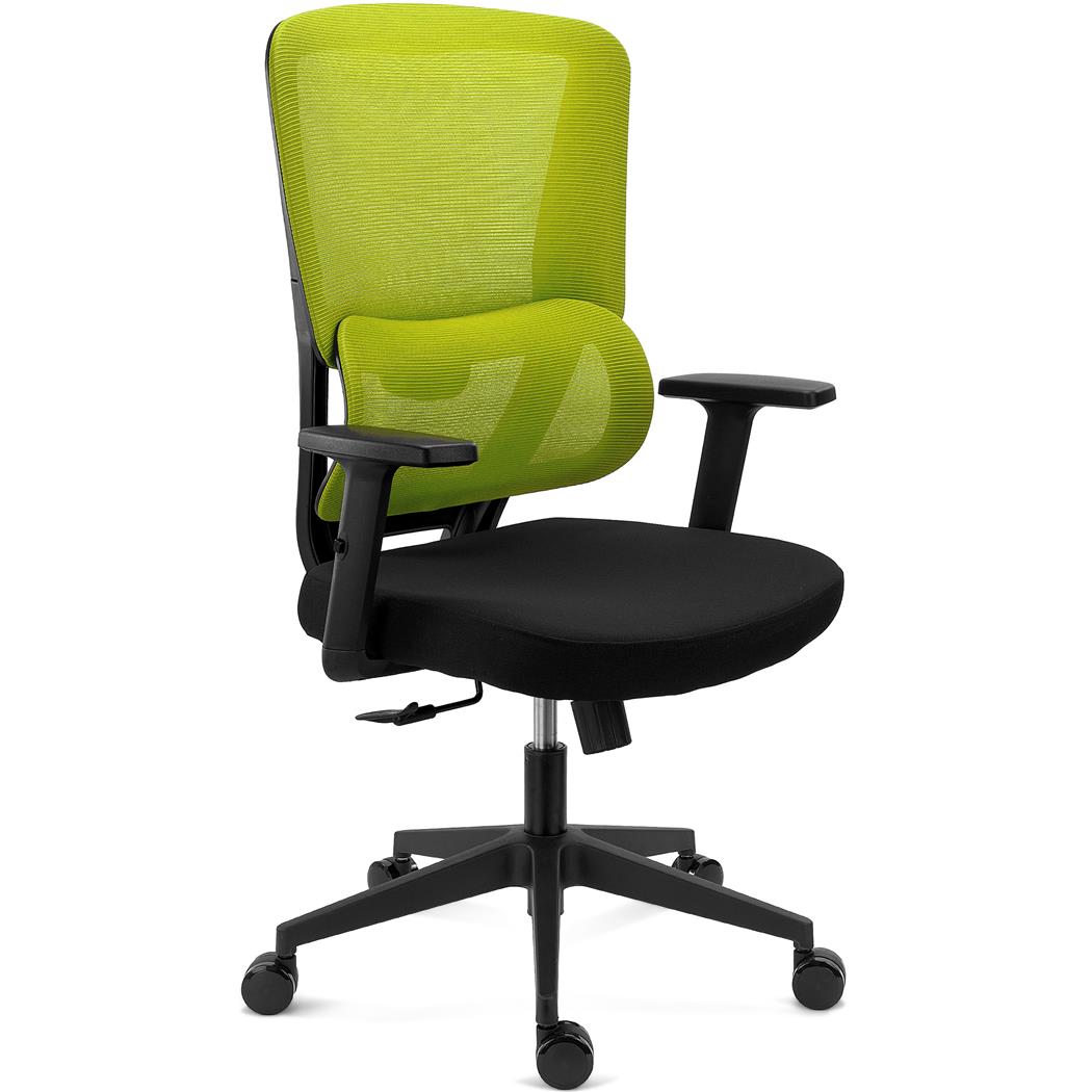 Ergonomisk Stol SUPRA, Justerbar Lændestøtte, 8 Timers Anvendelse, Åndbart Stof Og Net, Grøn