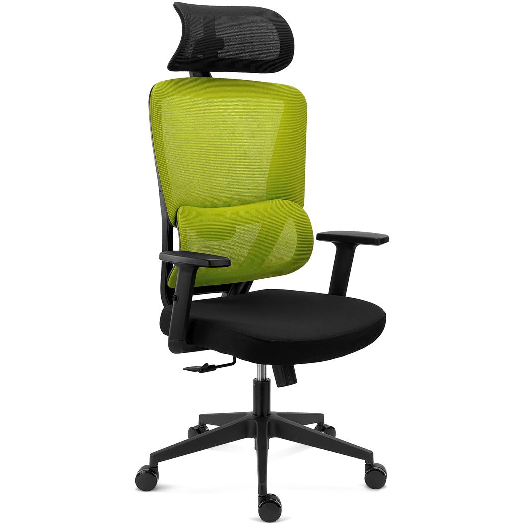 Ergonomisk Stol SUPRA, Nakkestøtte, Justerbar Lændestøtte, 8 Timers Anvendelse, Stof Og Net,  Grøn