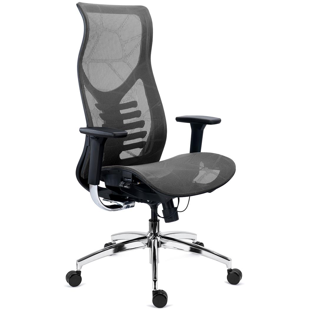 Ergonomisk Stol VICTUS, Høj Ryglæn Med Lændestøtte, Justerbart Sæde, Eksklusivt Design, Grå Farve