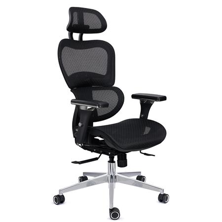 Ergonomisk stol VICTORY PRO, Maksimal Tilpasningsevne, Professionel Sortiment, Eksklusive Detaljer, I Sort