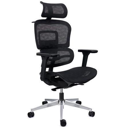 Ergonomisk Stol ERGOMAX, Højdejusterbar Ryglæn, Komfortabel Og Tilpasselig, Sort Net