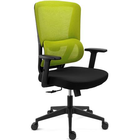 Ergonomisk Stol SUPRA, Justerbar Lændestøtte, 8 Timers Anvendelse, Åndbart Stof Og Net, Grøn