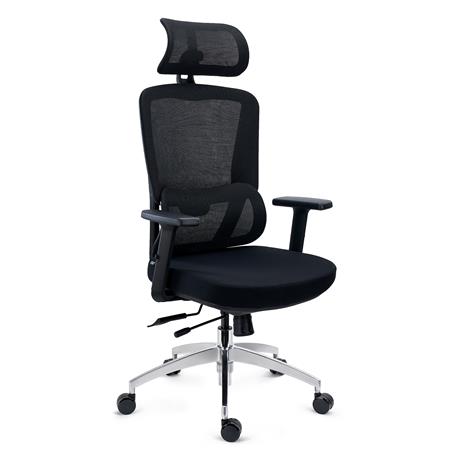 Ergonomisk Stol SUPRA MAX, Avancerede Indstillinger, Professionel Brug I 8 Timer, Åndbart Stof Og Net, Sort Farve