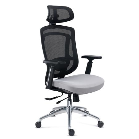 Ergonomisk Stol ASTON, 3D-Lændestøtte, Indsat Justerbart Sæde, Professionel Anvendelse I 8 Timer, Grå Farve